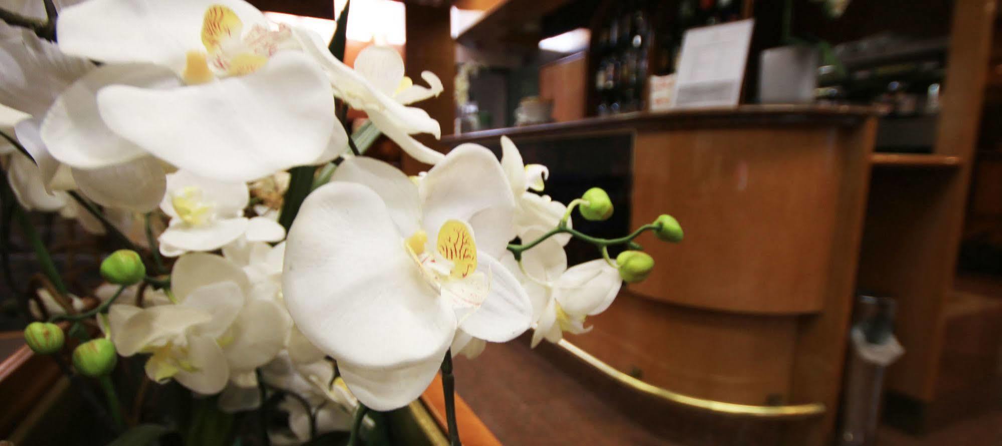 Hotel Lido Milano Ngoại thất bức ảnh